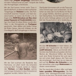 Ausstellung_NAW_RollUPs3