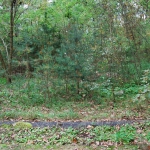 planschbecken_heute_1