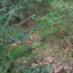 planschbecken_heute_5