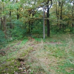 planschbecken_heute_6
