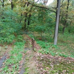planschbecken_heute_8